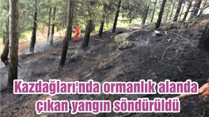 Kazdağları'nda ormanlık alanda çıkan yangın söndürüldü