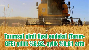Tarımsal girdi fiyat endeksi (Tarım-GFE) yıllık %6,62, aylık %0,61 arttı