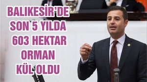 BALIKESİR’DE SON 5 YILDA 603 HEKTAR ORMAN KÜL OLDU