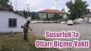 Susurluk’ta Otları Biçme Vakti
