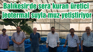 Balıkesir'de sera kuran üretici jeotermal suyla muz yetiştiriyor