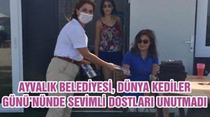 AYVALIK BELEDİYESİ, DÜNYA KEDİLER GÜNÜ’NÜNDE SEVİMLİ DOSTLARI UNUTMADI