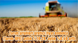 Tarım ürünleri üretici fiyat endeksi (Tarım-ÜFE) yıllık %16,28, aylık %0,49 arttı
