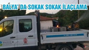 BALYA’ DA SOKAK SOKAK İLAÇLAMA