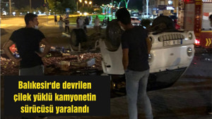 Balıkesir'de devrilen çilek yüklü kamyonetin sürücüsü yaralandı