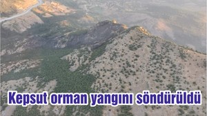 Kepsut orman yangını söndürüldü
