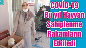 COVİD-19 Bu yıl Hayvan Sahiplenme Rakamların Etkiledi