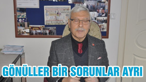 GÖNÜLLER BİR SORUNLAR AYRI