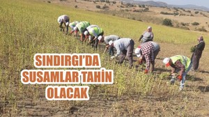SINDIRGI’DA SUSAMLAR TAHİN OLACAK