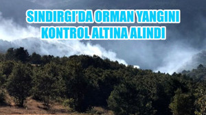 SINDIRGI'DA ORMAN YANGINI KONTROL ALTINA ALINDI