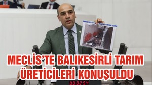 MECLİS’TE BALIKESİRLİ TARIM ÜRETİCİLERİ KONUŞULDU