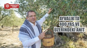 AYVALIK’TA 400 YAŞ VE ÜZERİNDEKİ ANIT