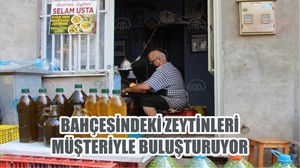 BAHÇESİNDEKİ ZEYTİNLERİ MÜŞTERİYLE BULUŞTURUYOR