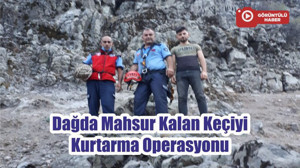 Dağda Mahsur Kalan Keçiyi Kurtarma Operasyonu