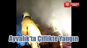 Ayvalık'ta Çiflikte Yangın