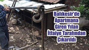 Balıkesir'de Apartmana Giren Yılan İtfaiye Tarafından Çıkarıldı