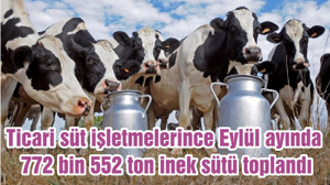 Ticari süt işletmelerince Eylül ayında 772 bin 552 ton inek sütü toplandı