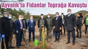 Ayvalık’ta Fidanlar Toprağa Kavuştu