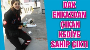 DAK ENKAZDAN ÇIKAN KEDİYE SAHİP ÇIKTI