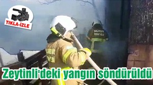 Zeytinli'deki yangın söndürüldü
