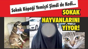 Kedi Köpek Yiyen Kadın Yakalandı