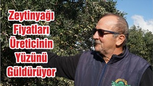 Zeytinyağı Fiyatları Üreticinin Yüzünü Güldürüyor