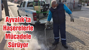 Ayvalık’ta Haşerelerle Mücadele Sürüyor