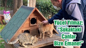 Yücel Yılmaz: “Sokaktaki Canlar Bize Emanet”