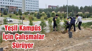Yeşil Kampüs İçin Çalışmalar Sürüyor