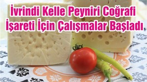 İvrindi Kelle Peyniri Coğrafi İşareti İçin Çalışmalar Başladı