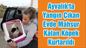 Ayvalık'ta Yangın Çıkan Evde Mahsur Kalan Köpek Kurtarıldı