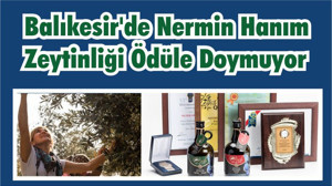 Balıkesir’de Nermin Hanım Zeytinliği Ödüle Doymuyor