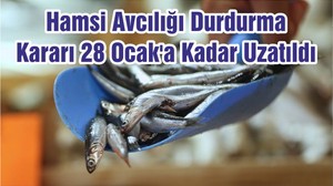 Hamsi Avcılığı Durdurma Kararı 28 Ocak'a Kadar Uzatıldı