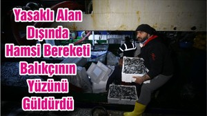 Yasaklı Alan Dışında Hamsi Bereketi Balıkçının Yüzünü Güldürdü
