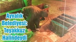 Ayvalık Belediyesi Teyakkuz Halindeydi