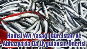 Hamsi Avı Yasağı Gürcistan Ve Abhazya'da Da Uygulansın Önerisi
