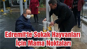 Edremit'te Sokak Hayvanları İçin Mama Noktaları