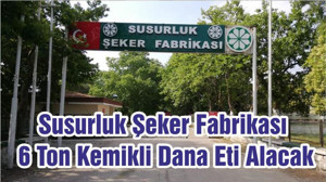 Susurluk Şeker Fabrikası 6 Ton Kemikli Dana Eti Alacak