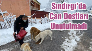 Sındırgı’da Can Dostları Unutulmadı