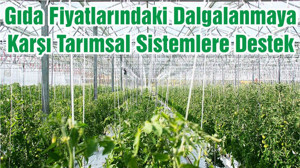 Gıda Fiyatlarındaki Dalgalanmaya Karşı Tarımsal Sistemlere Destek