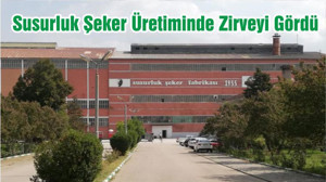 Susurluk Şeker Üretiminde Zirveyi Gördü