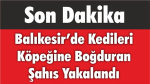Balıkesir’de Kedileri Köpeğine Boğduran Şahıs Yakalandı