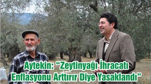 Aytekin: “Zeytinyağı İhracatı Enflasyonu Arttırır Diye Yasaklandı ”