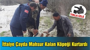 Sındırgı’da İtfaiye Ekipleri Çayda Mahsur Kalan Köpeği Kurtardı
