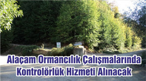 Alaçam Ormancılık Çalışmalarında Kontrolörlük Hizmeti Alınacak