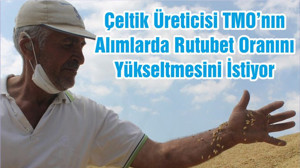 Çeltik Üreticisi TMO’nın Alımlarda Rutubet Oranını Yükseltmesini İstiyor