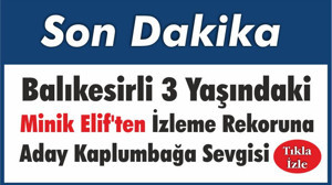 Balıkesirli 3 Yaşındaki Minik Elif'ten İzleme Rekoruna Aday Kaplumbağa Sevgisi