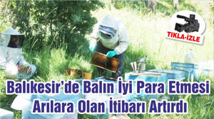 Balıkesir’de Balın İyi Para Etmesi Arılara Olan İtibarı Artırdı