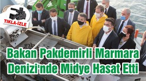 Bakan Pakdemirli Marmara Denizi'nde Midye Hasat Etti