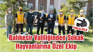 Balıkesir Valiliğinden Sokak Hayvanlarına Özel Ekip